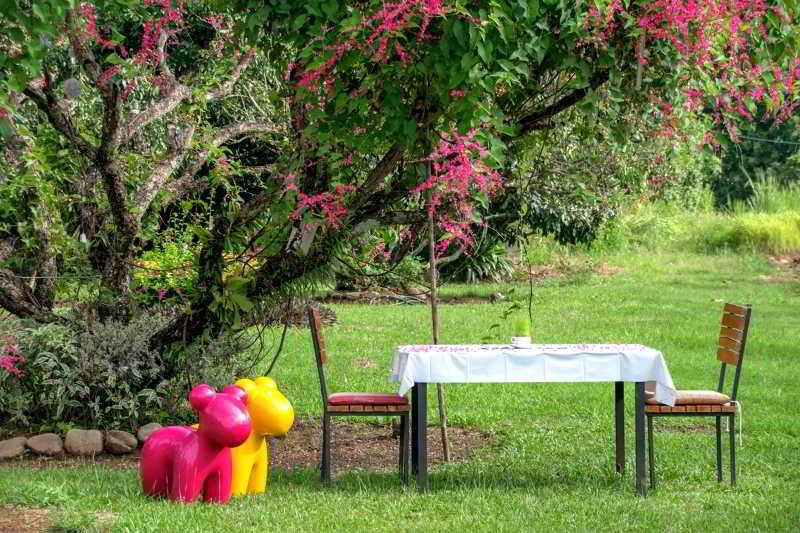 Aurora Resort Chiangdao Chiang Dao Buitenkant foto