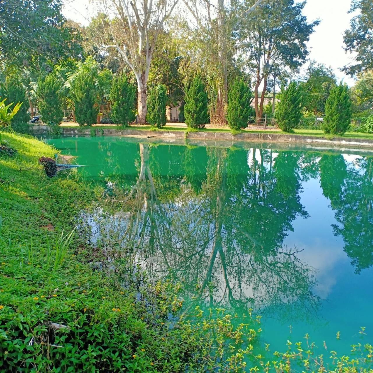 Aurora Resort Chiangdao Chiang Dao Buitenkant foto